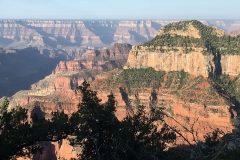 Grand Canyon From North Rim