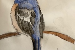 Bird-Painting